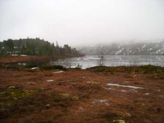 Langli1