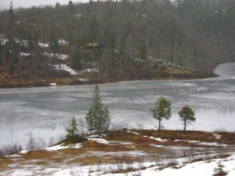 Langli3