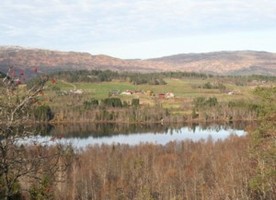 Solvik A