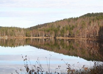 Solvik B