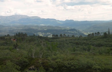 terreng_1024x657