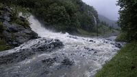 Flom_2_1190263c