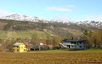tidlig vår 02