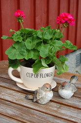 eli moen blomster 5