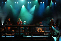 6 Hellbillies_350x233