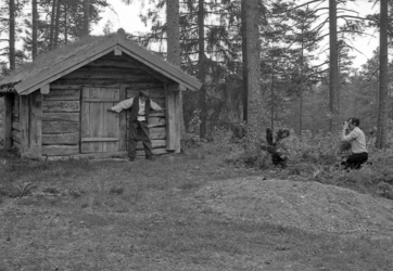 Bøfjordelever-8
