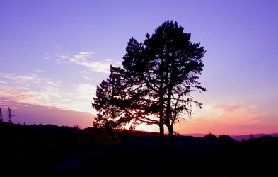 Jøldal_1024x650