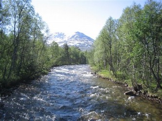 Svart†a Bilde+032