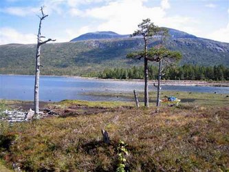 Trollhetta Bilde 329