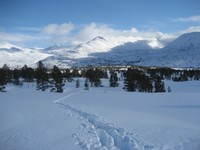 Fra&nbsp;Folldalen&nbsp;onsdag&nbsp;i&nbsp;påskeuka&nbsp;2008