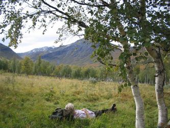 Kvil&nbsp;p�&nbsp;Farkholtet