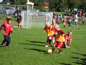 fint&nbsp;driv_350x263