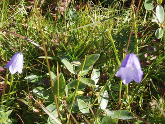 Resfjellet&nbsp;og&nbsp;Mjukinn&nbsp;07