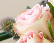 Blomster