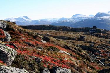 Mot Snota, Fruh%F8tta og Ne%E5dalssn ota_1024x682