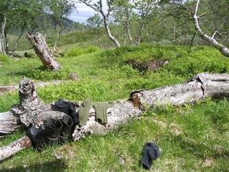 LL Gråsjøen B juli 05