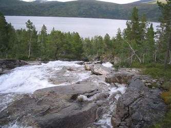 LL høst 05 B