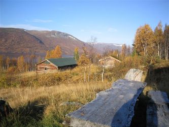 LL høst 05 D