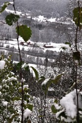Vinter okt 10 002_1024x1542