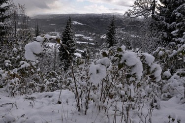 Vinter okt 10 007_1024x680