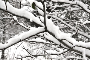 Vinter okt 10 024_1024x680