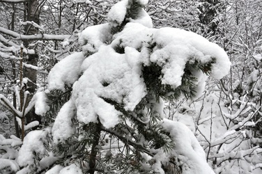 Vinter okt 10 026_1024x680