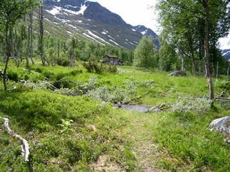 LL turgåere juni 08 5