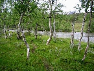 LL turgåere juni 08 6