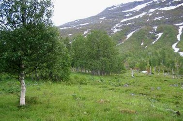 LL turgåere juni 08 7