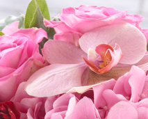 Blomster