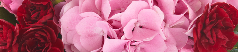 Blomster