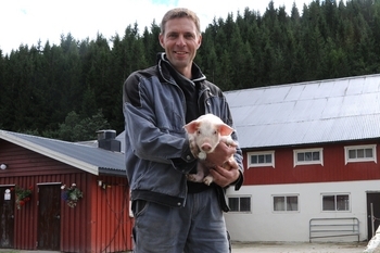 lesund1_350x233