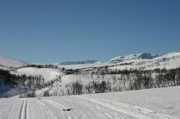 Ny skiløype TM 1