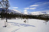 Pekhøtta AK 1