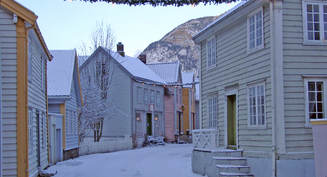 L&aelig;rdals&oslash;yri