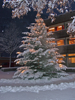 Julestemning ved rådhuset
