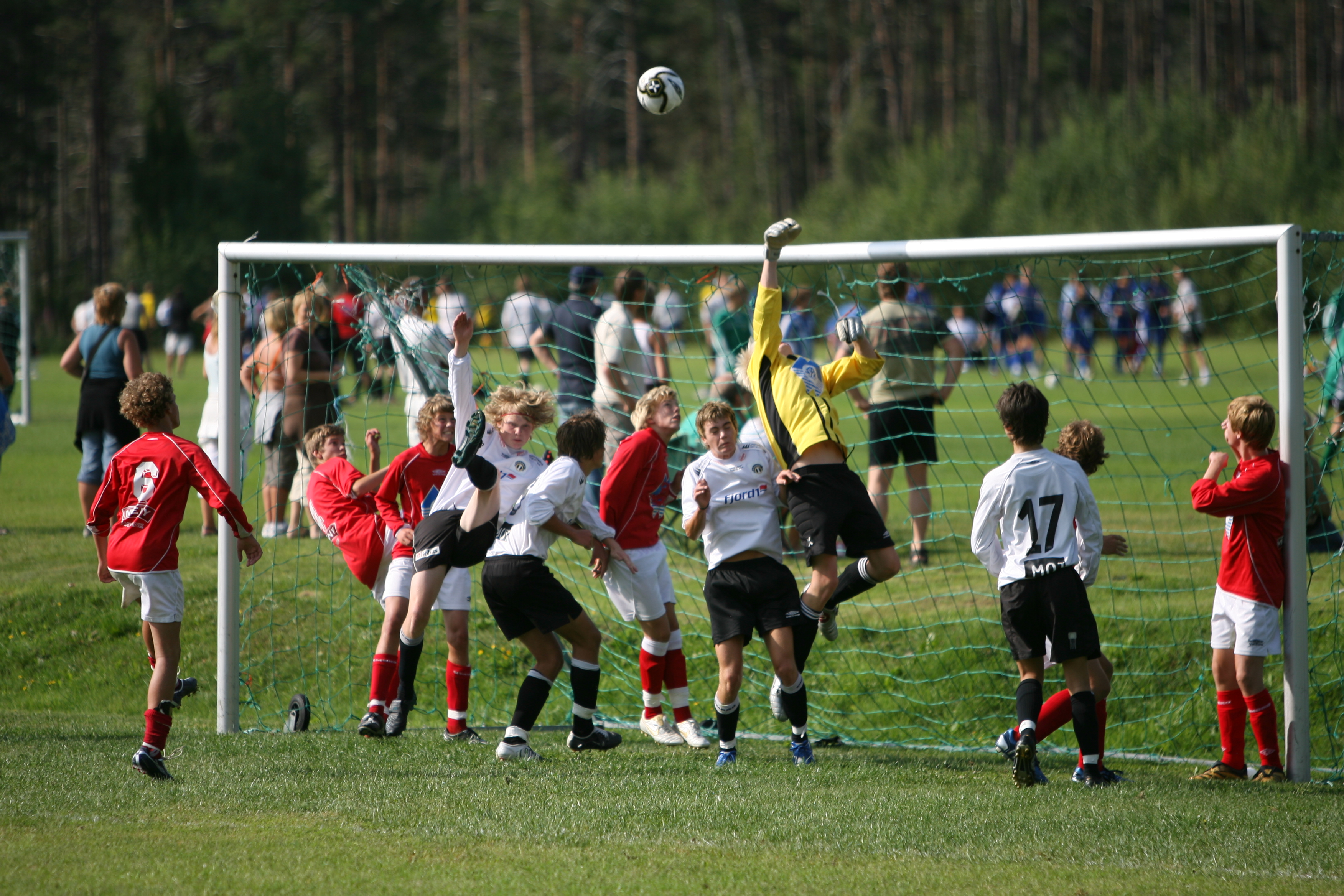 Fotball
