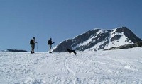 Snota LP 1