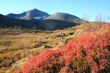 Snøfjellet HS 1