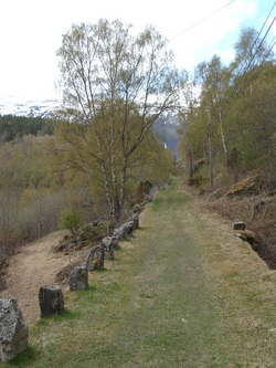Vindehella