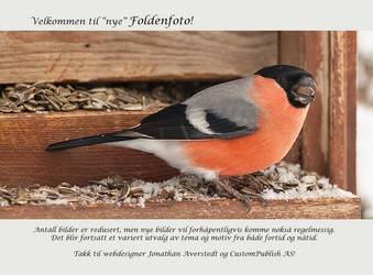 fonden A