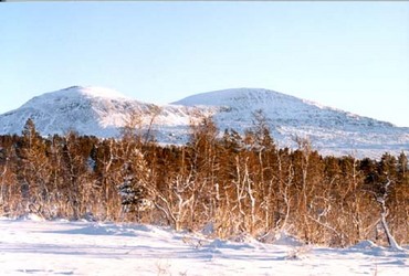 Gjermund H