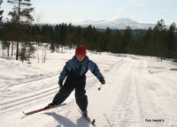 Flotte skiforhold