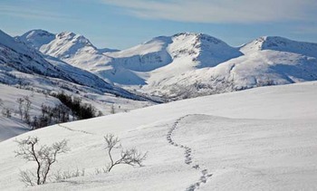 Vindøldalen HEF