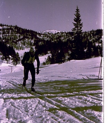 stokkfjell 2_1024x1156
