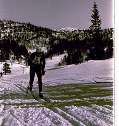 Stokkfjell 3 usikker_1024x1081