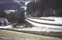 Haglver - tidlig 76