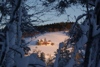 Høgtun _650x435