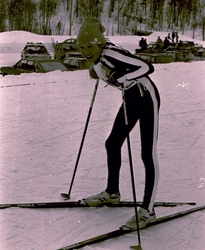 skogaletta 7 Kjetil_1024x1249