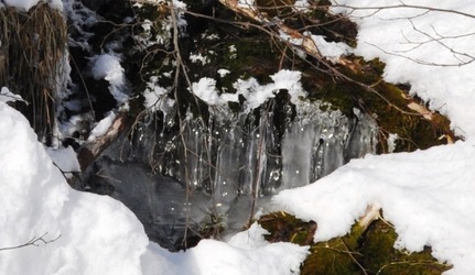 vatn vår meis 200211 (10)